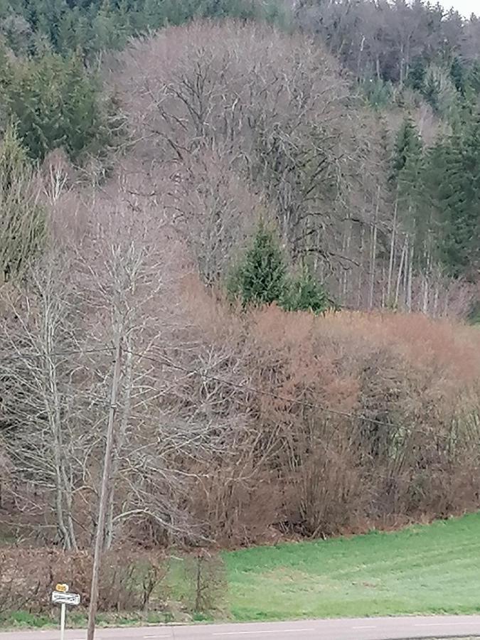 Air Paix Le Mont Herpelmont Exterior foto